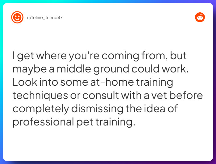 Comment from u/feline_friend47