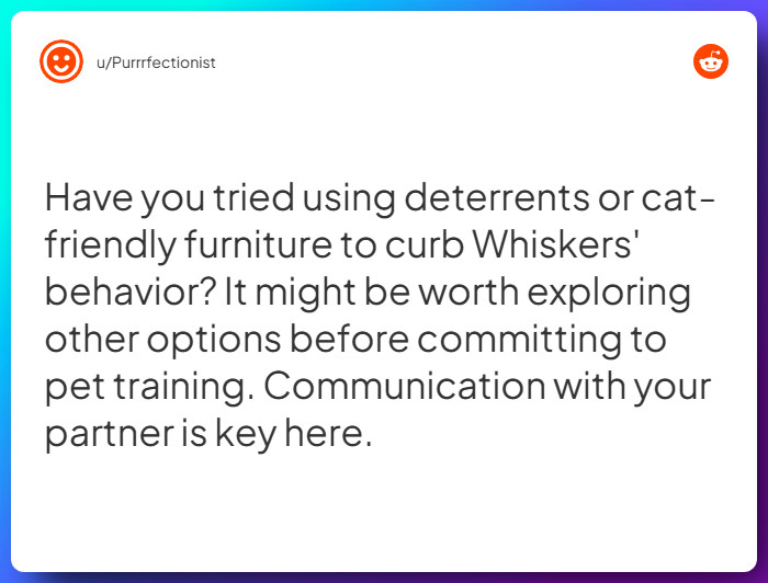 Comment from u/Purrrfectionist