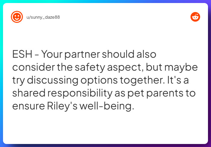 Comment from u/sunny_daze88