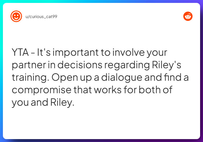 Comment from u/curious_cat99