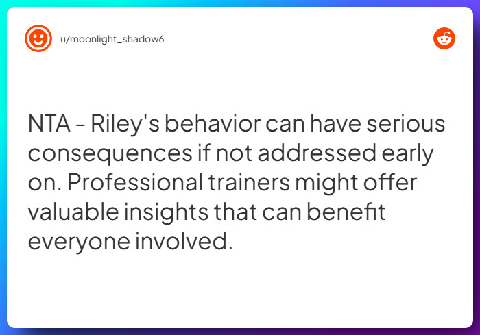 Comment from u/moonlight_shadow6