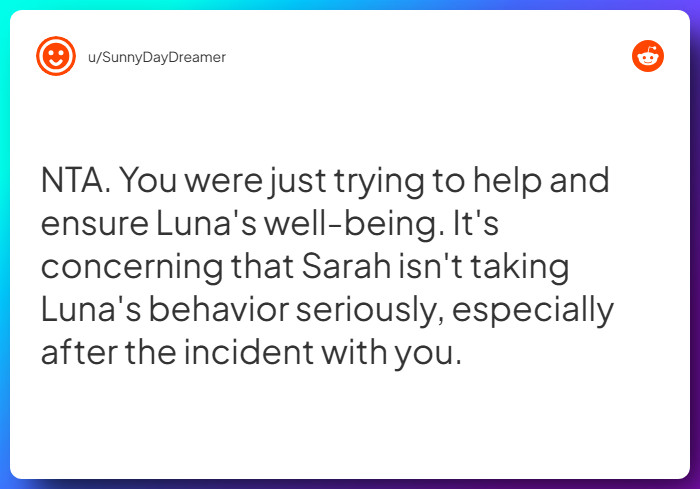 Comment from u/SunnyDayDreamer