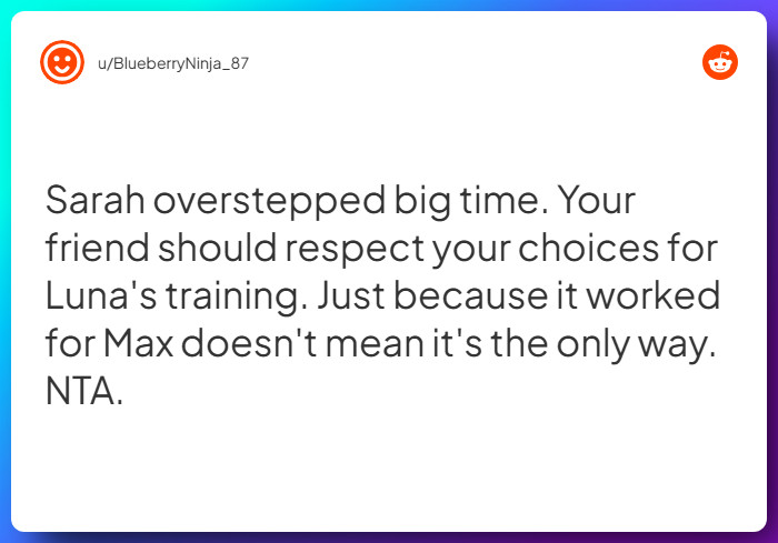 Comment from u/BlueberryNinja_87