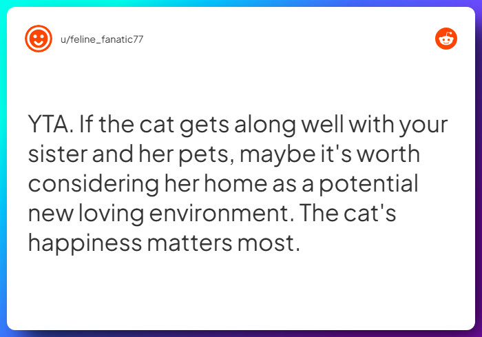 Comment from u/feline_fanatic77