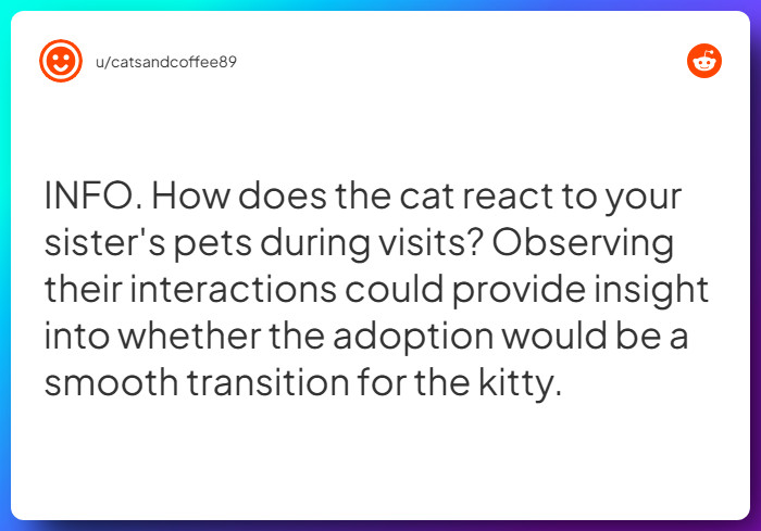 Comment from u/catsandcoffee89