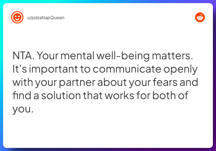 Comment from u/pizzaNapQueen