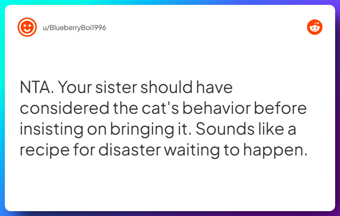 Comment from u/BlueberryBoi1996