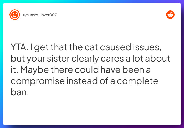 Comment from u/sunset_lover007