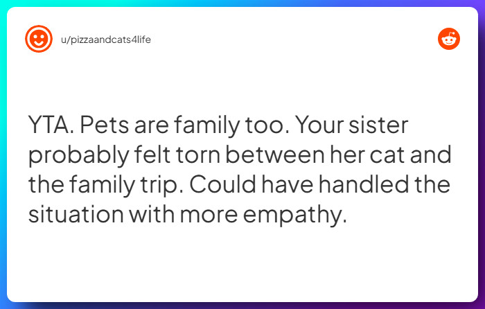 Comment from u/pizzaandcats4life