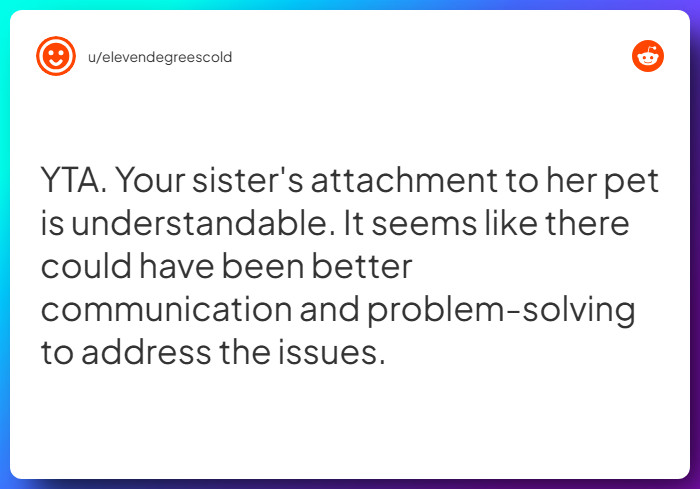 Comment from u/elevendegreescold