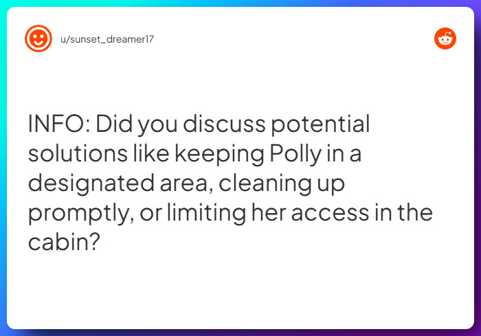 Comment from u/sunset_dreamer17