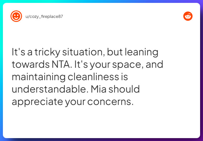 Comment from u/cozy_fireplace87