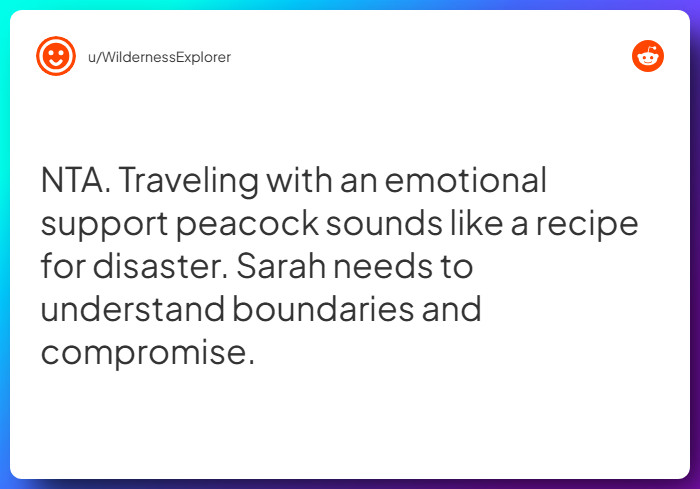 Comment from u/WildernessExplorer