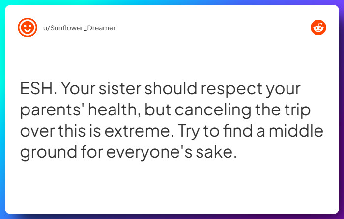 Comment from u/Sunflower_Dreamer