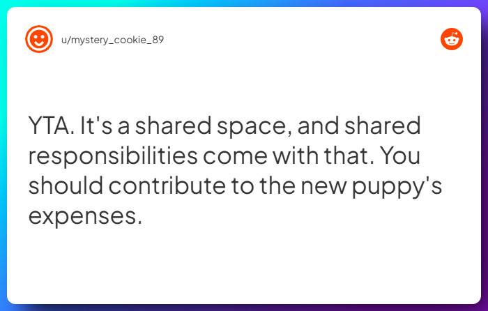 Comment from u/mystery_cookie_89