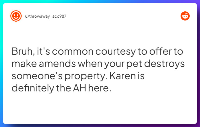 Comment from u/throwaway_acc987