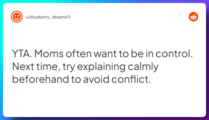 Comment from u/blueberry_dreams11