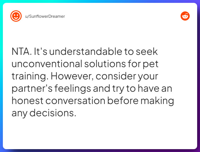 Comment from u/SunflowerDreamer