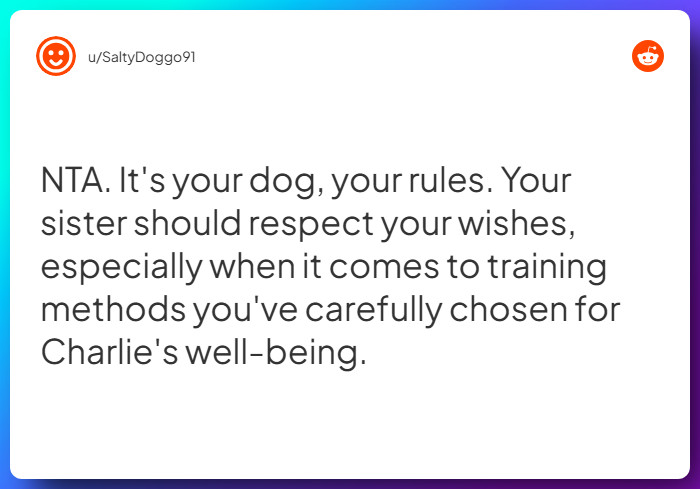 Comment from u/SaltyDoggo91