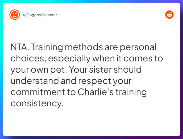 Comment from u/DoggoWhisperer