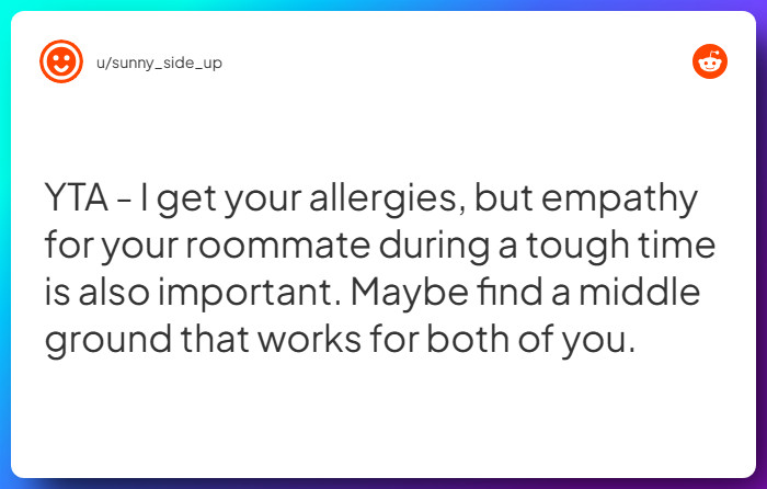 Comment from u/sunny_side_up