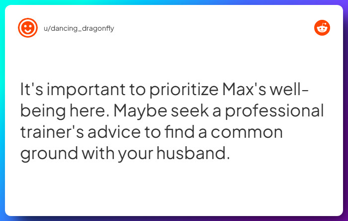 Comment from u/dancing_dragonfly