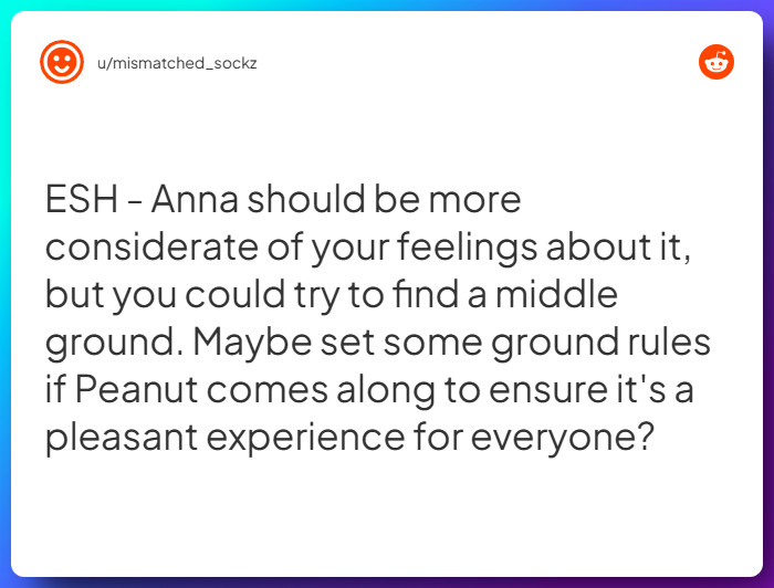 Comment from u/mismatched_sockz