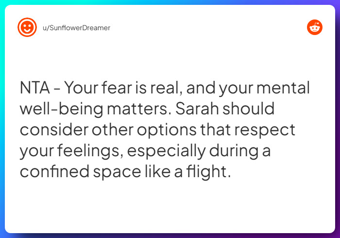 Comment from u/SunflowerDreamer