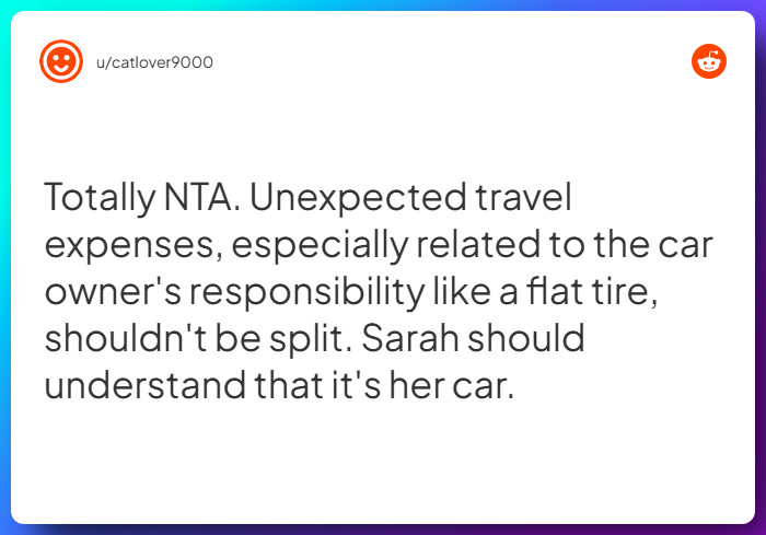 Comment from u/catlover9000