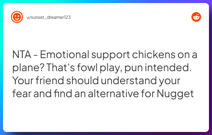 Comment from u/sunset_dreamer123