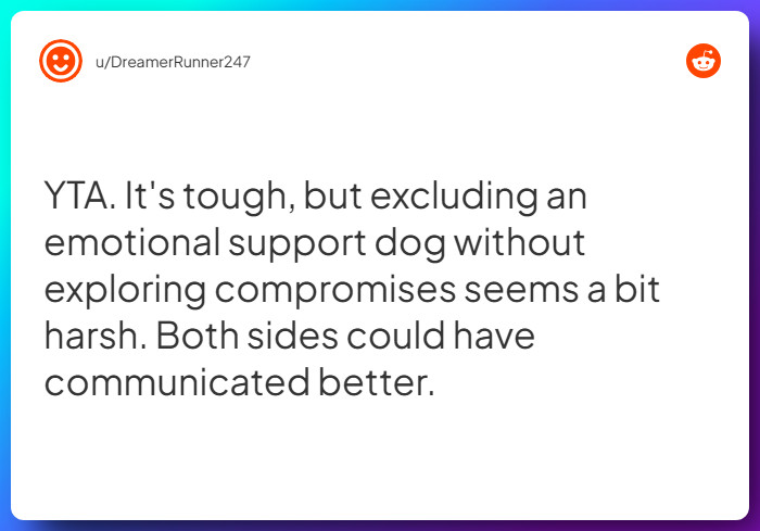 Comment from u/DreamerRunner247