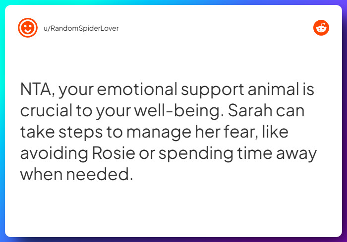 Comment from u/RandomSpiderLover