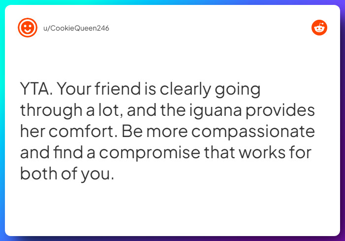 Comment from u/CookieQueen246