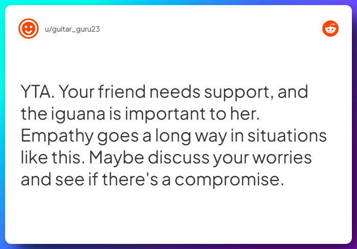 Comment from u/guitar_guru23