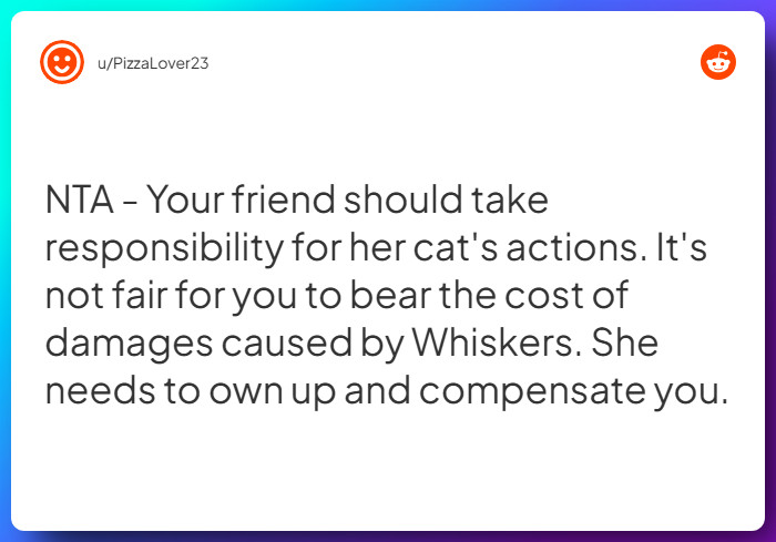 Comment from u/PizzaLover23