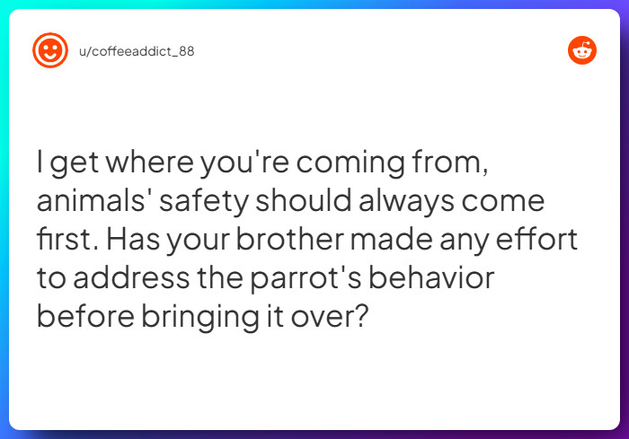 Comment from u/coffeeaddict_88