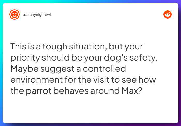 Comment from u/starrynightowl