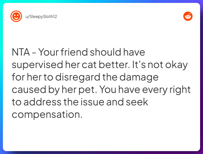 Comment from u/SleepySloth12