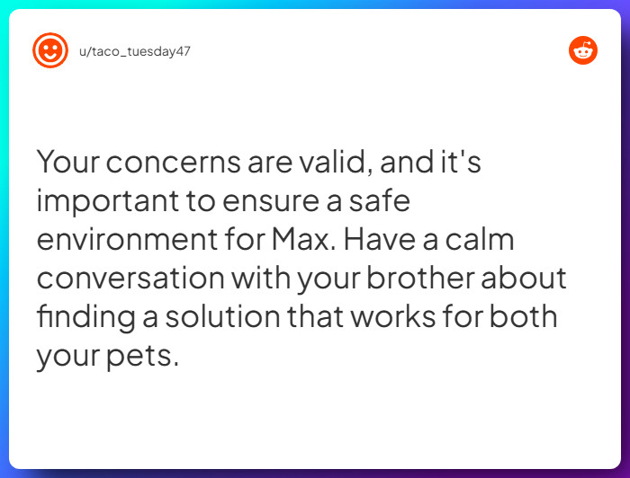 Comment from u/taco_tuesday47