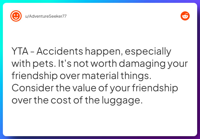 Comment from u/AdventureSeeker77