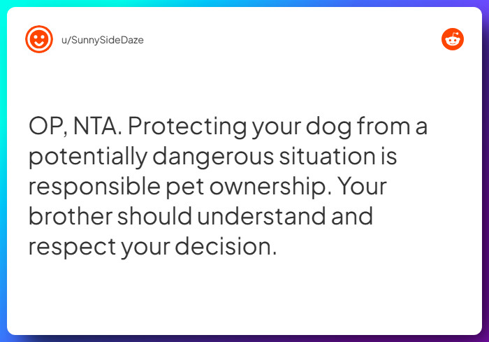 Comment from u/SunnySideDaze