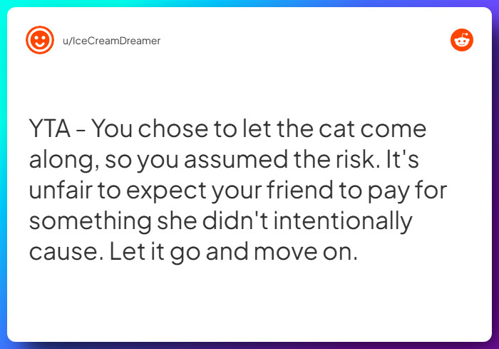 Comment from u/IceCreamDreamer