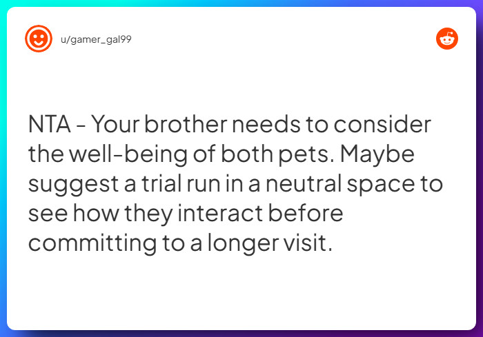 Comment from u/gamer_gal99