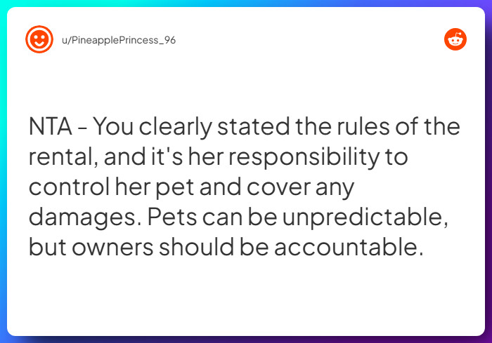 Comment from u/PineapplePrincess_96