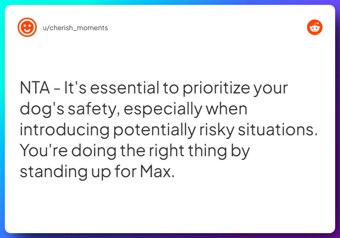 Comment from u/cherish_moments