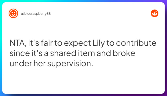 Comment from u/blueraspberry88