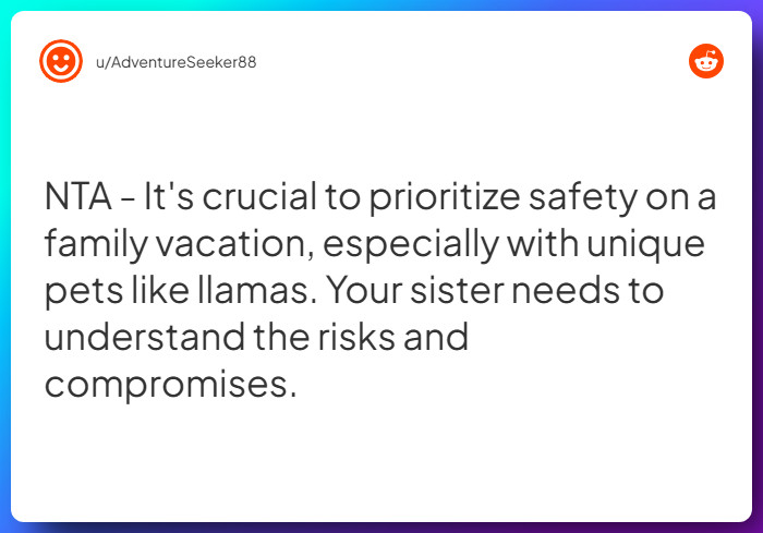 Comment from u/AdventureSeeker88