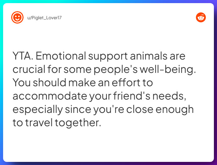 Comment from u/Piglet_Lover17