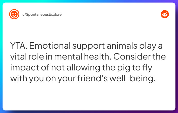 Comment from u/SpontaneousExplorer