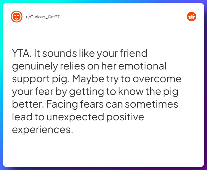 Comment from u/Curious_Cat27